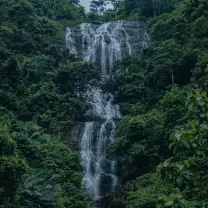 Kappikalam waterfalls