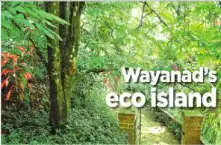 Natural farms in Wayanad
