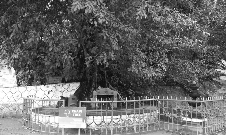 Black and White Stays Wayanad