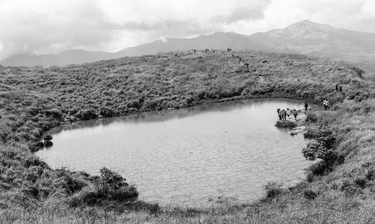 Black and White Stays Wayanad