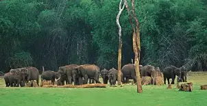 Begur wildlife sanctuary