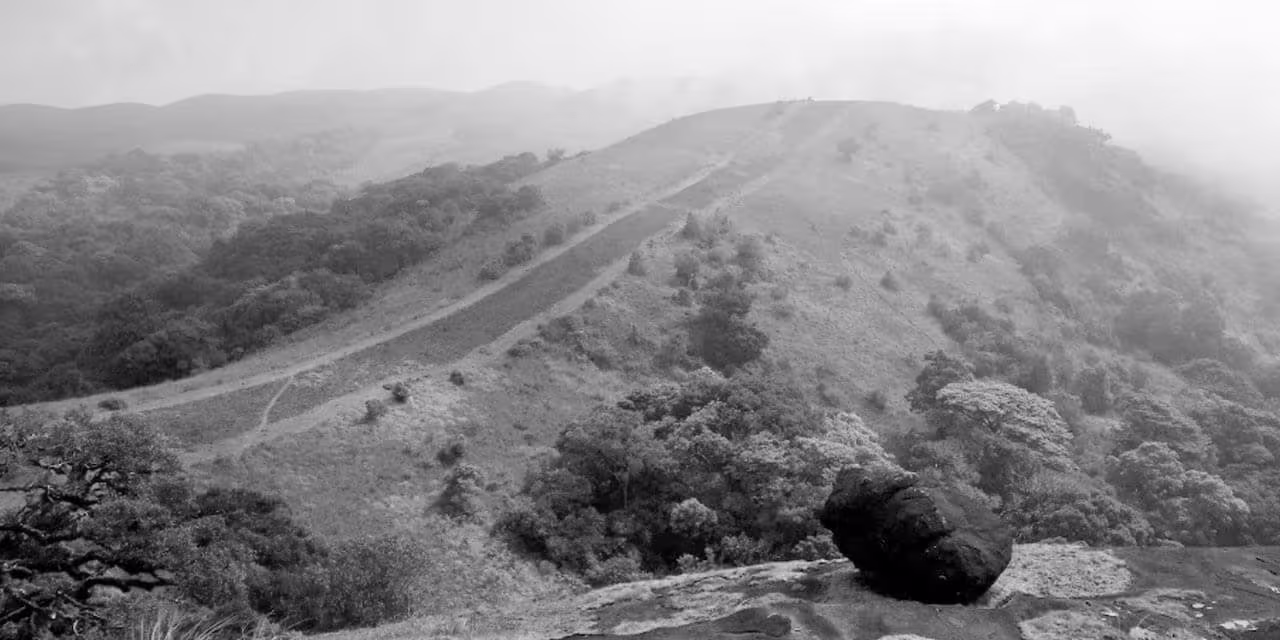 Black and White Stays Wayanad
